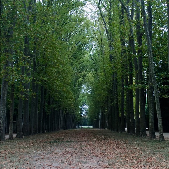 Meet your Posher, Shehla - Picture 1 of 1